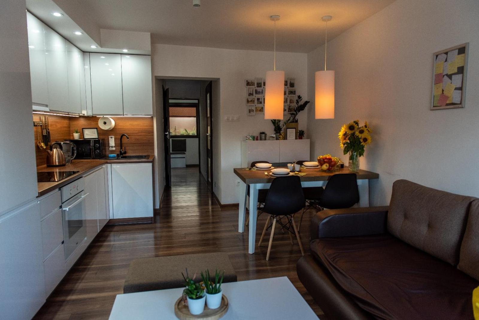Apartament Crooked Stairs Zielona Góra Zewnętrze zdjęcie