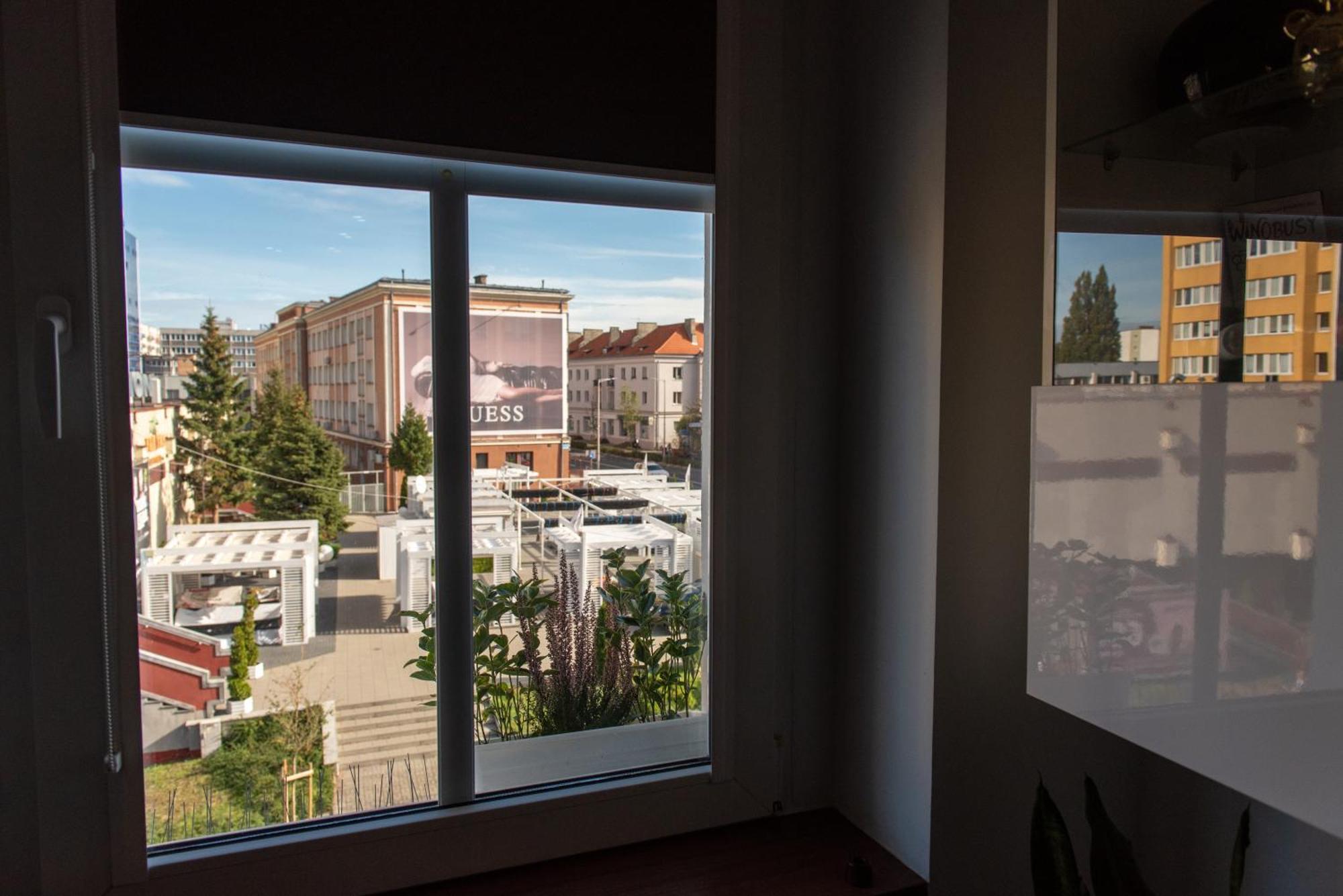Apartament Crooked Stairs Zielona Góra Zewnętrze zdjęcie