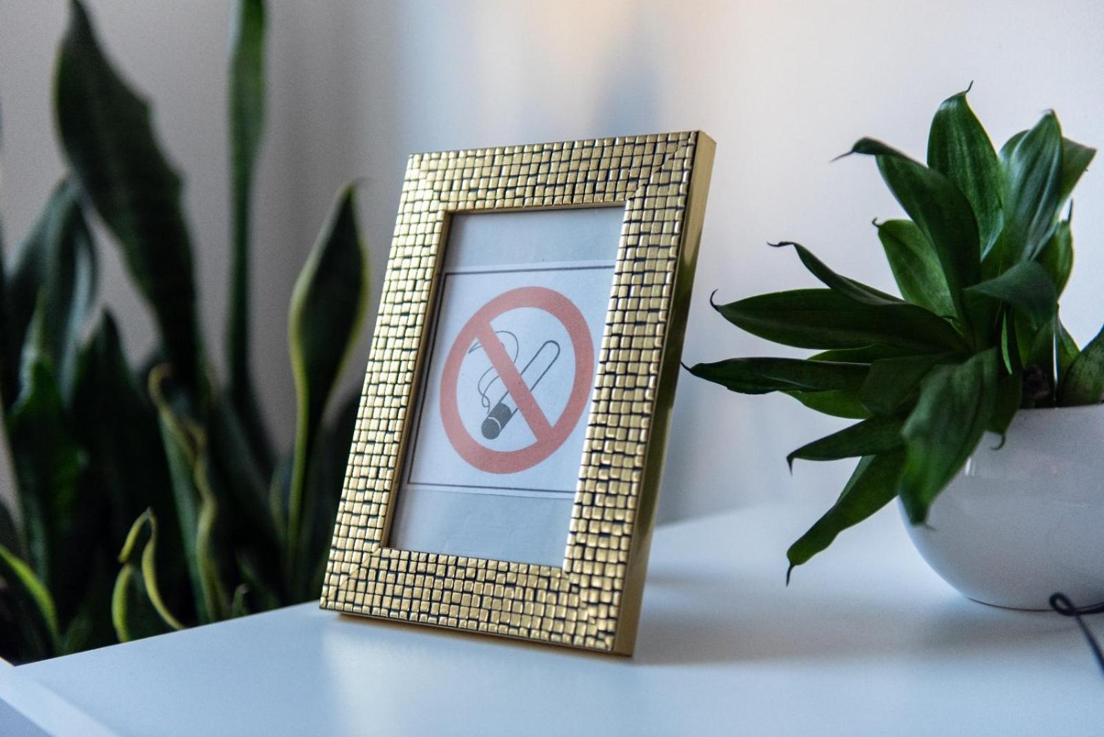 Apartament Crooked Stairs Zielona Góra Zewnętrze zdjęcie